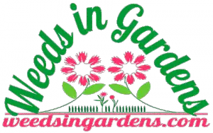 logo of weedsingardens.com