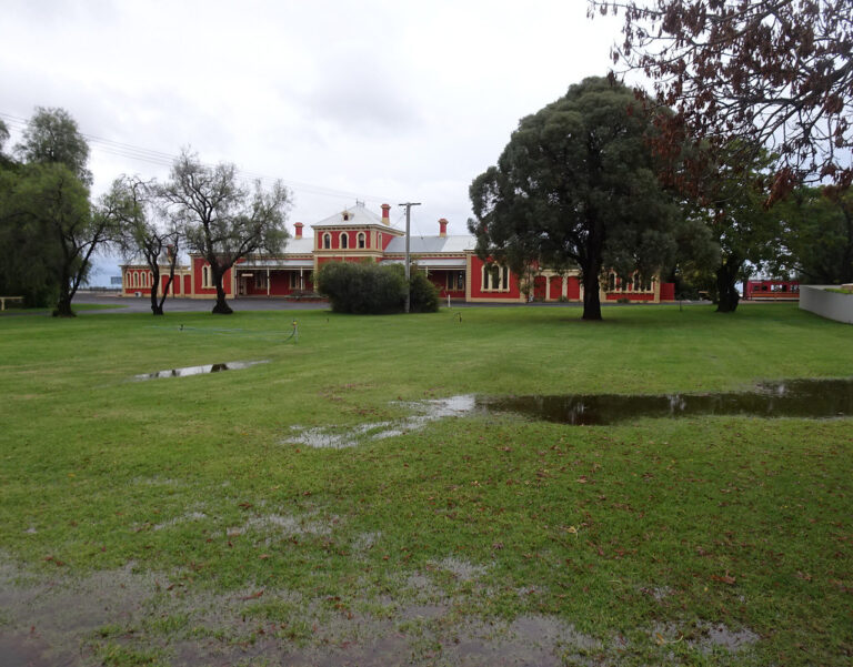 A wide lawn after heavy rain with several shallow puddles of standing water lying on the grass