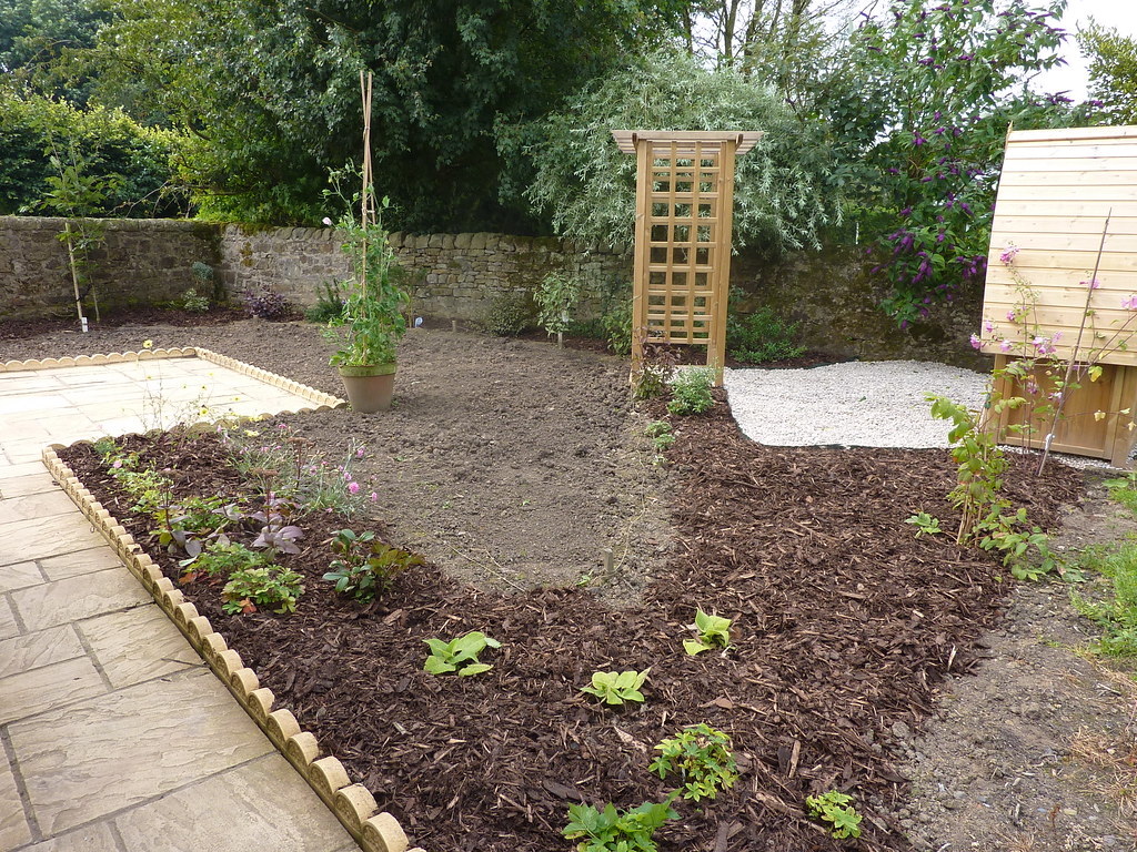 Border of young plants with fresh dark bark chip mulch spread over cleared soil, next to an unmulched patch of bare earth