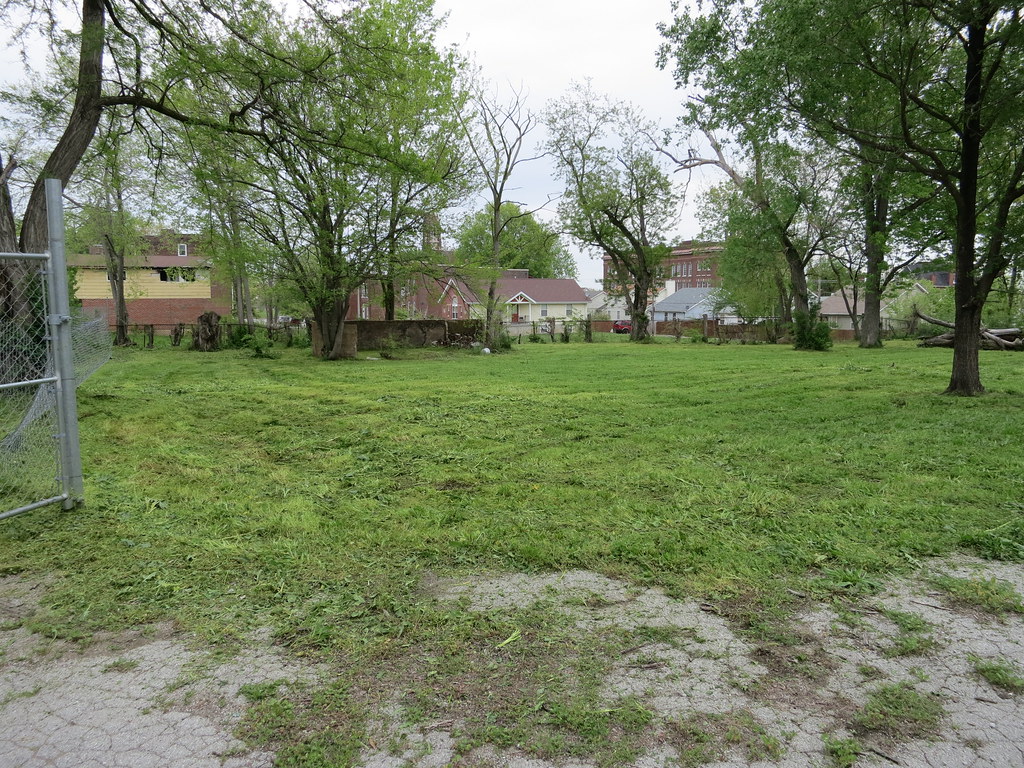 Lawn just cut after growing long, covered in thick rows of grass clippings