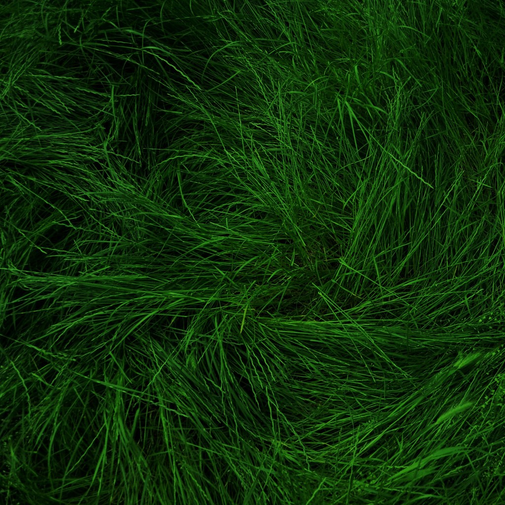Long green grass blades lying flat and swirled in a matted pattern