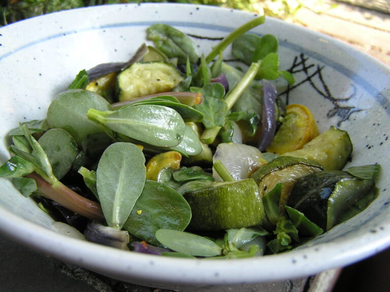 Purslane leaves and stems served raw in a summer salad