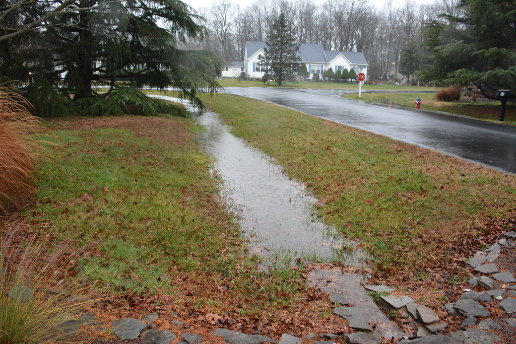 Rainwater pooling and running in a channel across a saturated front lawn toward a wet street