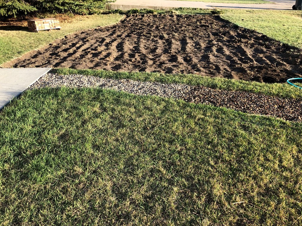 Strip of front yard where the lawn has been removed, leaving raked bare soil beside existing grass