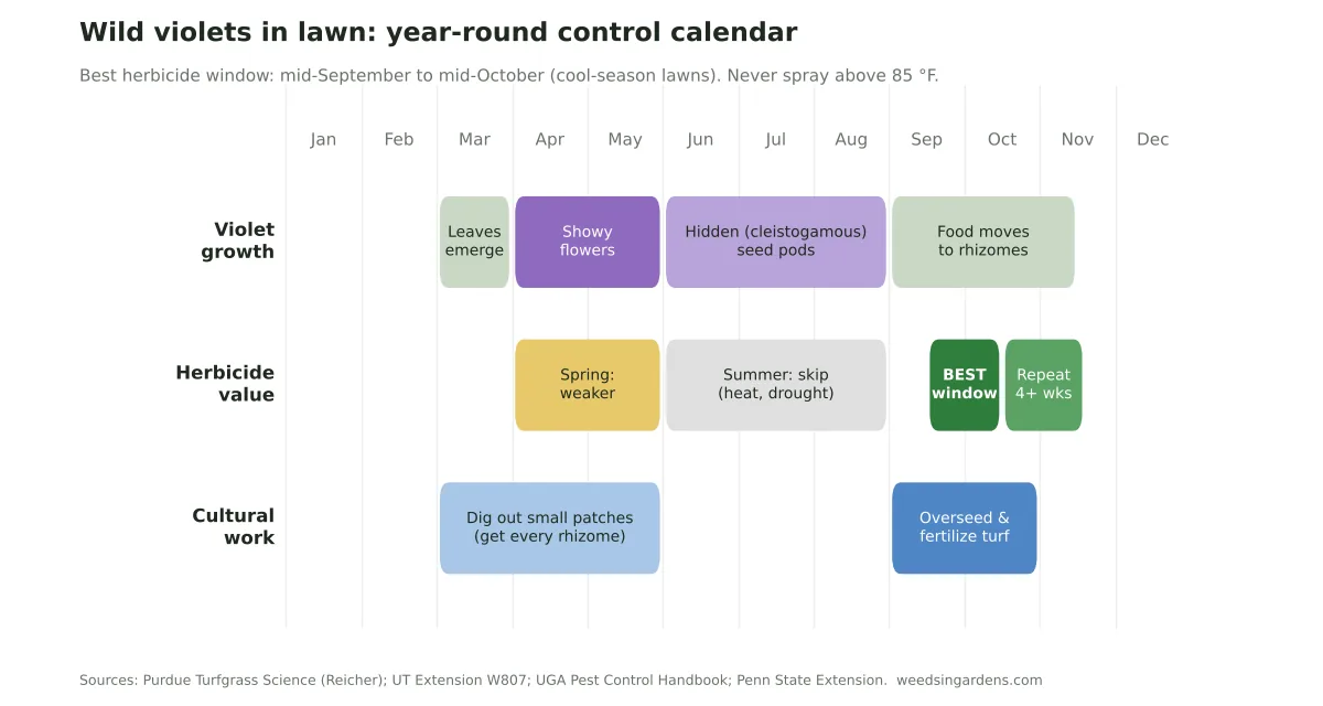 Year-round control calendar for wild violets in lawn showing the best herbicide window from mid-September to mid-October