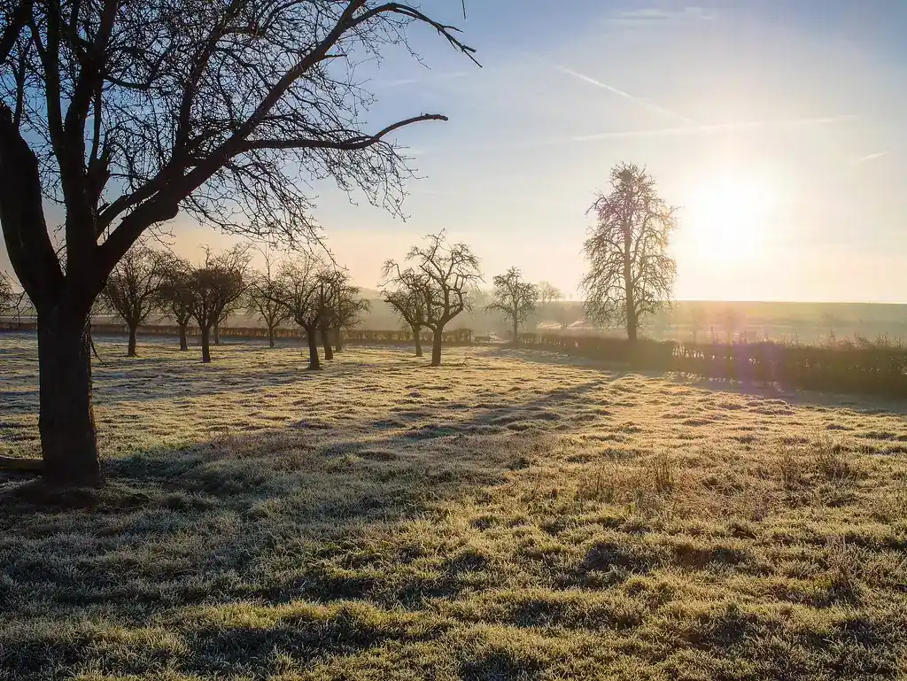 Frost-covered grass on a cold winter morning, the conditions when dormant seeding is done