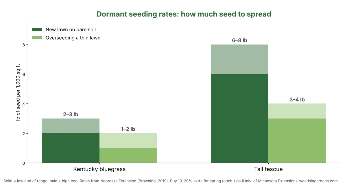 Bar chart of dormant seeding rates in pounds per 1,000 sq ft for Kentucky bluegrass and tall fescue, new lawn versus overseeding