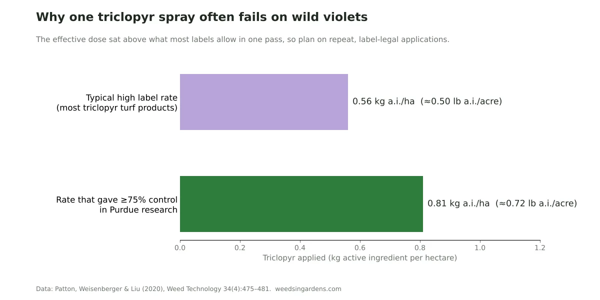 Bar chart comparing typical triclopyr label rate of 0.56 kg per hectare with the 0.81 kg per hectare that controlled wild violets in Purdue research
