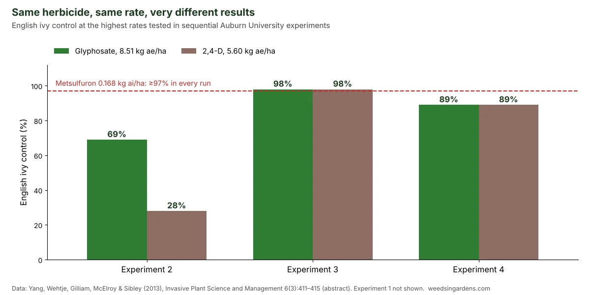 Bar chart of English ivy control with glyphosate and 2,4-D across Auburn University experiments