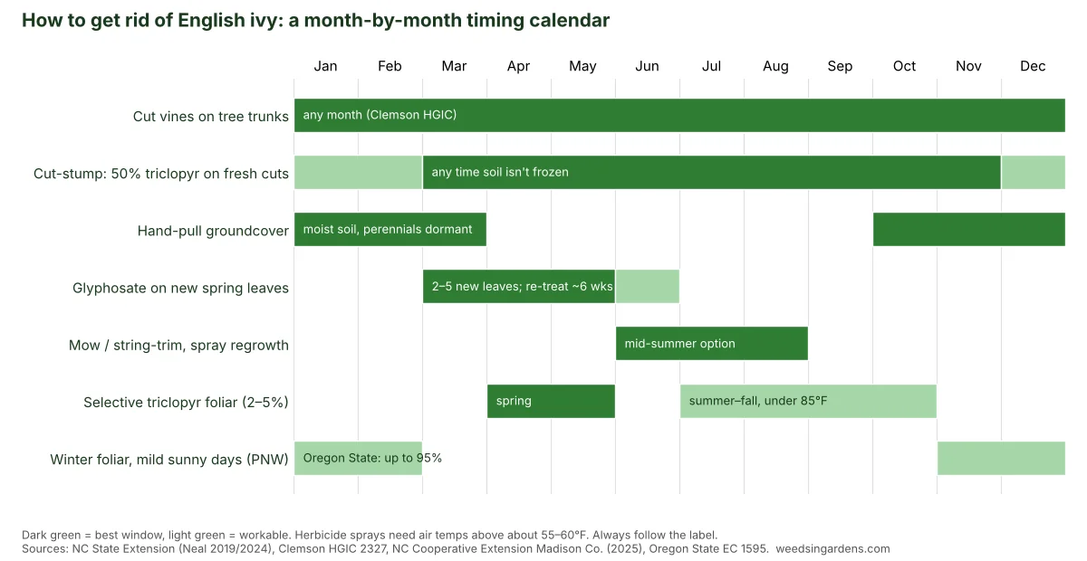 Month-by-month calendar showing when to cut, pull and spray to get rid of English ivy