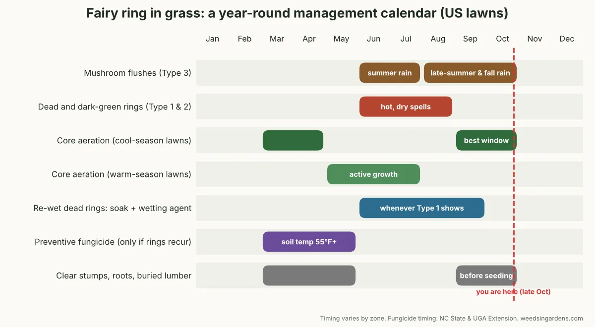 Fairy ring lawn treatment calendar showing mushroom flushes, aeration windows, re-wetting and preventive fungicide timing by month
