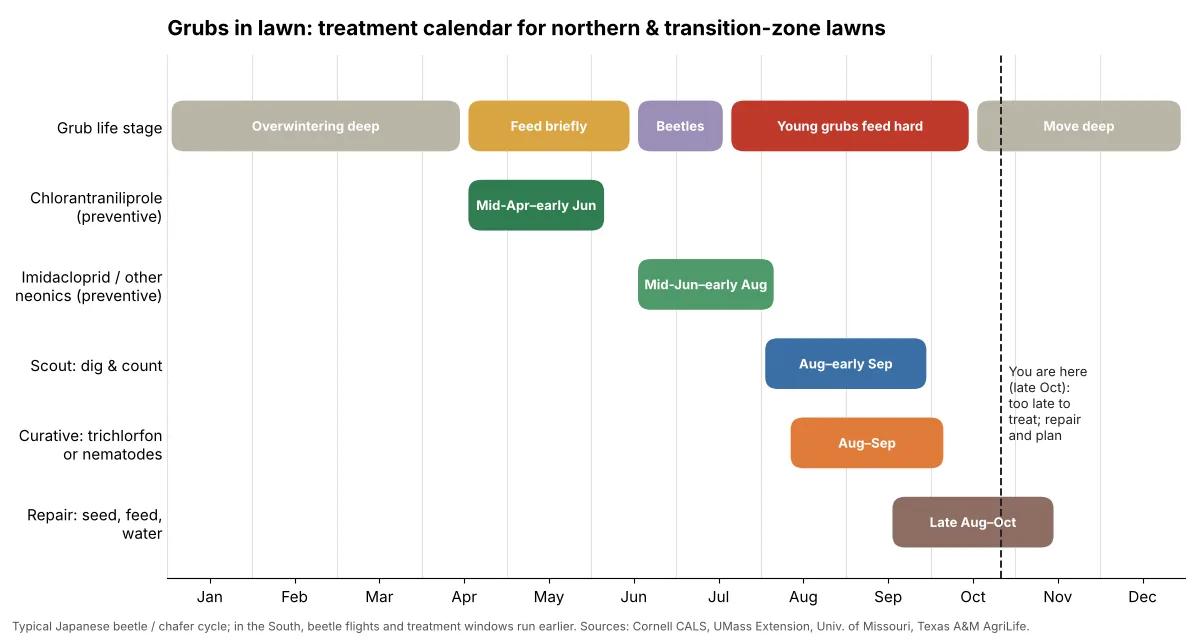 Grubs in lawn treatment calendar showing preventive, curative, scouting and repair windows by month