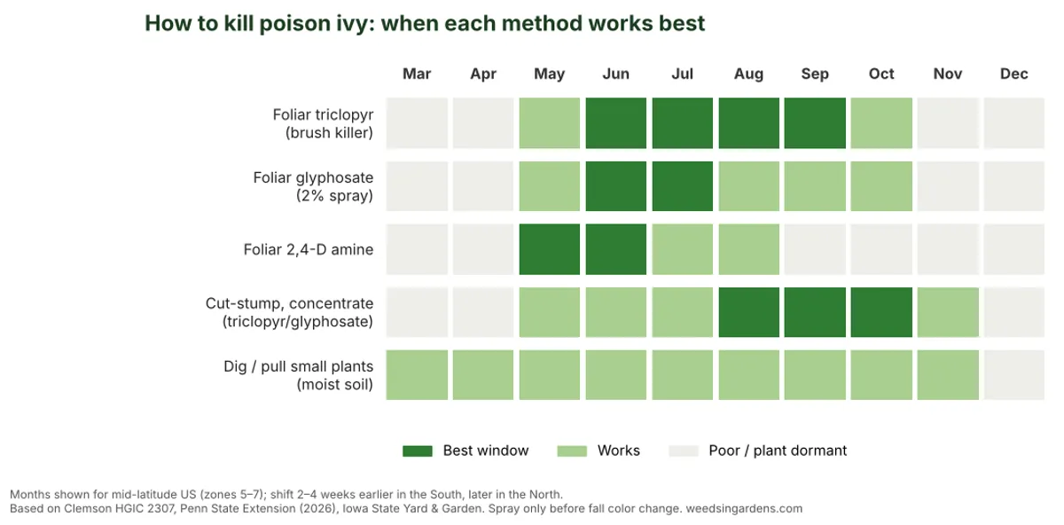 Calendar chart showing the best months to kill poison ivy with triclopyr, glyphosate, 2,4-D, cut-stump treatment and digging