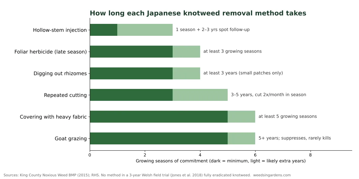 Bar chart comparing how many growing seasons each Japanese knotweed removal method takes, from stem injection to covering and goat grazing