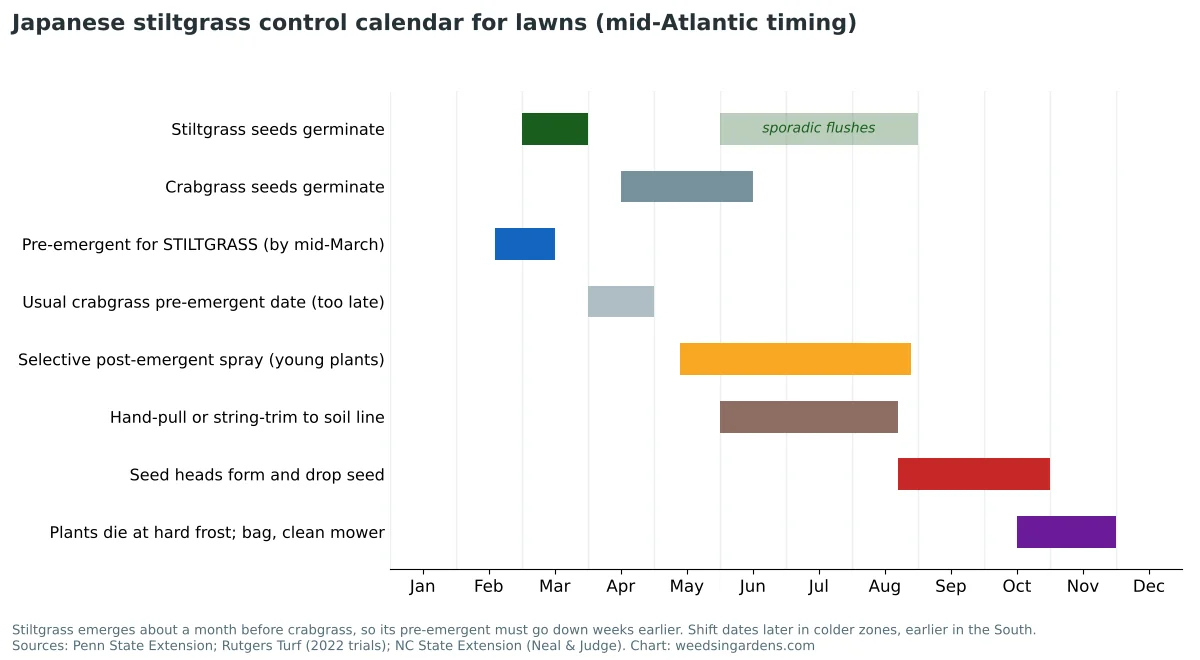 Japanese stiltgrass control calendar showing germination in March, pre-emergent by mid-March, post-emergent May to August and seed drop September to October