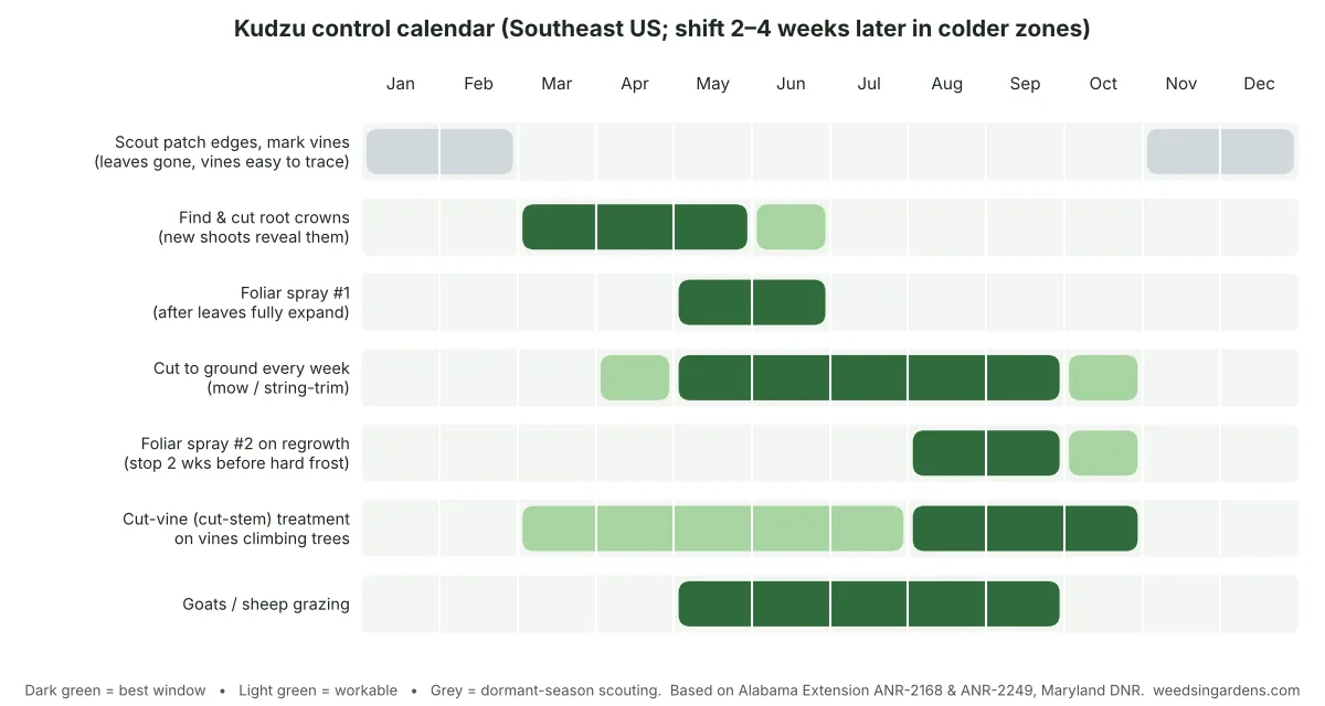 Kudzu control calendar showing the best months for root crown removal, foliar spraying, cutting and grazing