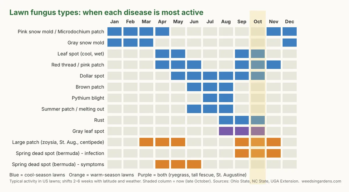 Calendar chart of lawn fungus types showing the months each lawn disease is most active for cool-season and warm-season grasses