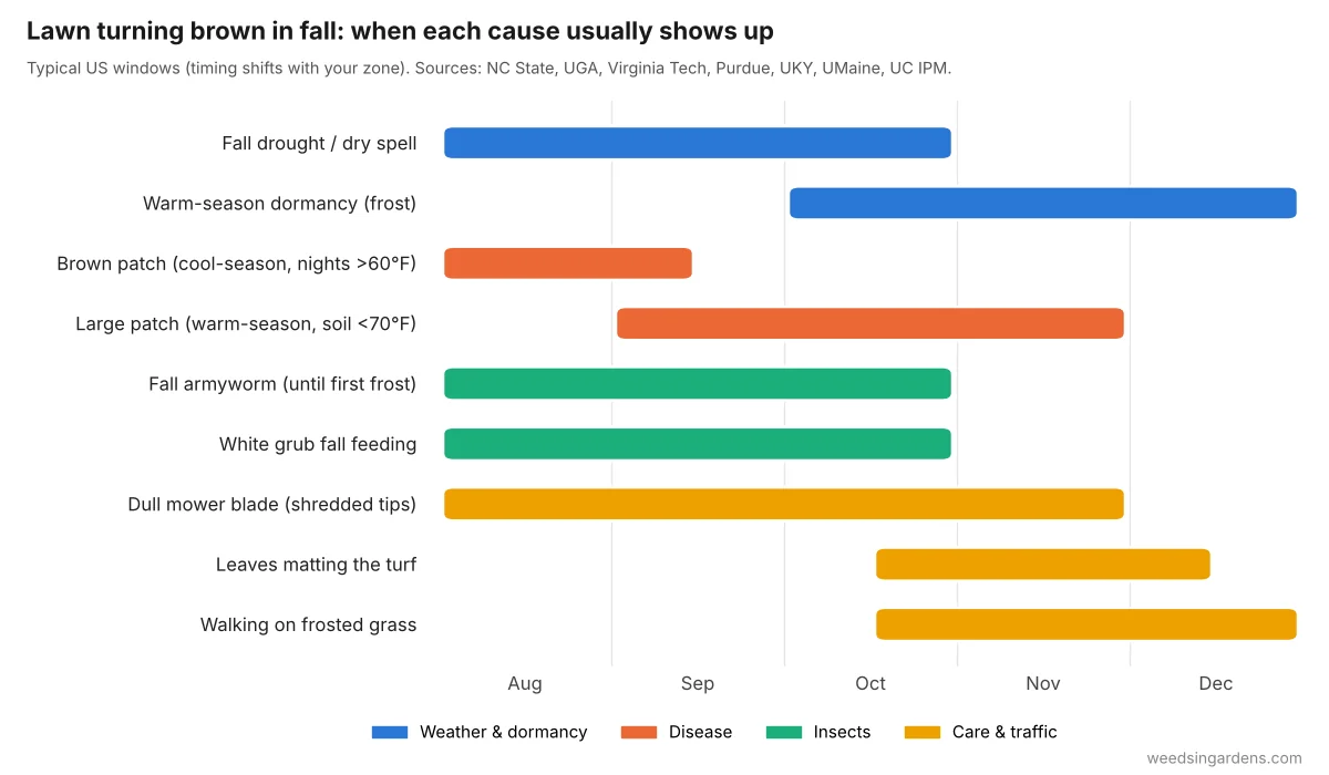 Calendar chart showing when each cause of a lawn turning brown in fall appears, from August to December