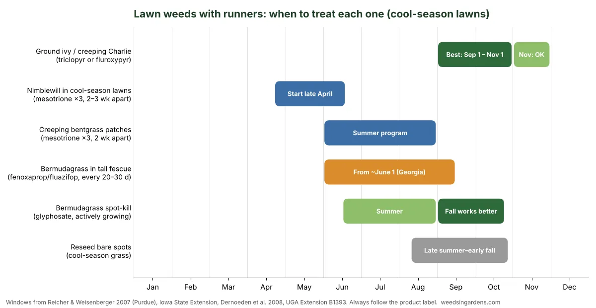 Calendar chart showing when to treat lawn weeds with runners, including ground ivy, nimblewill, creeping bentgrass and bermudagrass