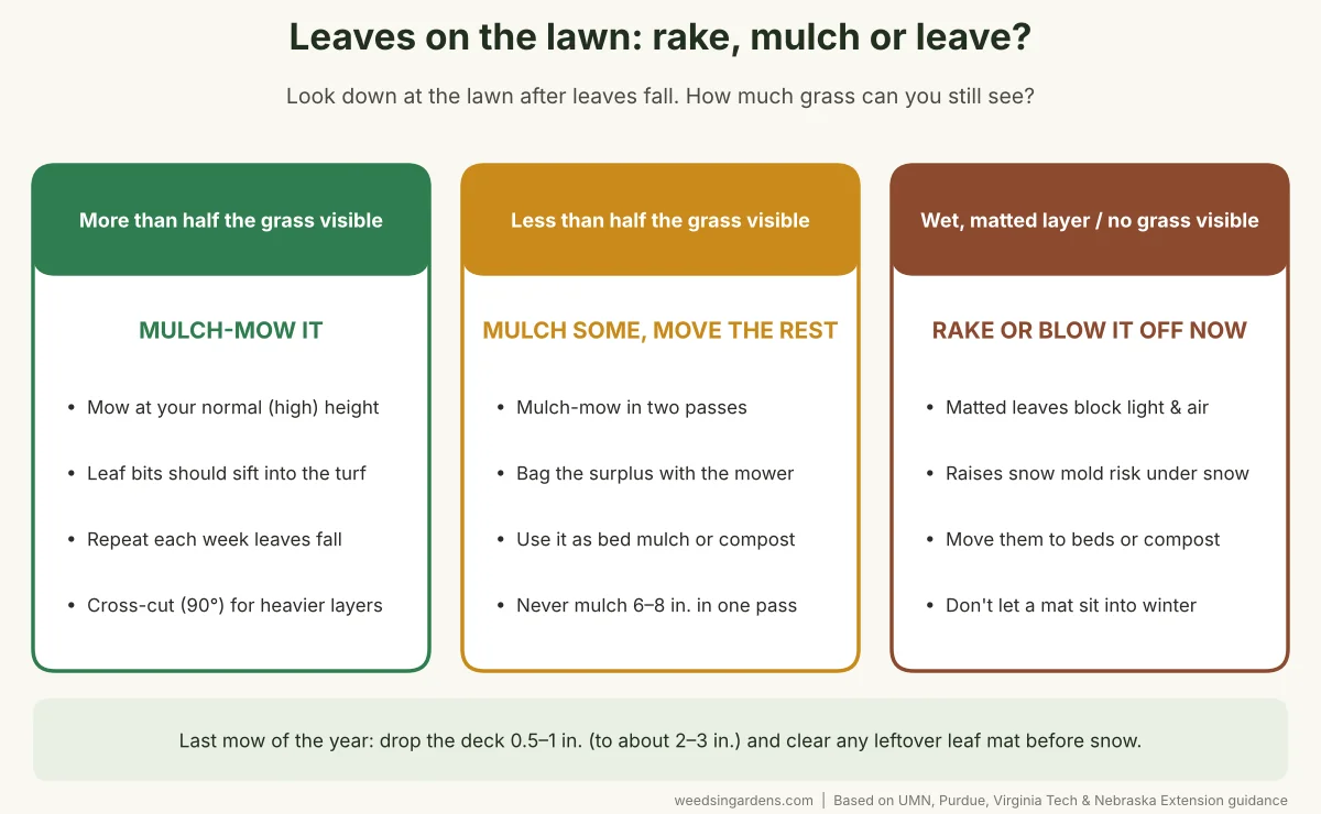 Decision guide for leaves on lawn over winter: mulch-mow if more than half the grass is visible, mulch some and bag the rest if less than half, rake off wet matted layers