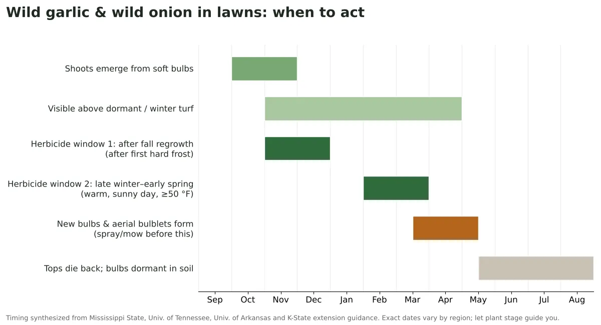 Calendar chart showing when to spray wild garlic and wild onion in lawns: November–December and February–March